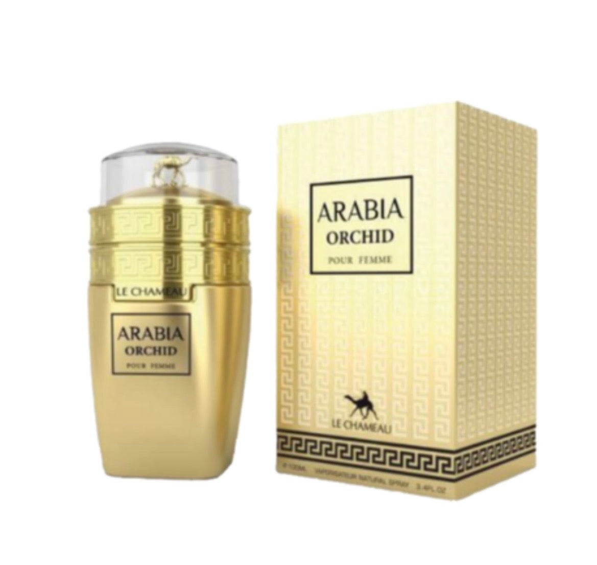 Arabia Orchid